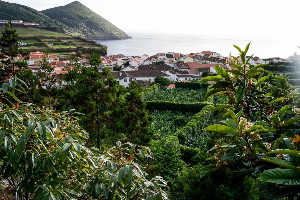 Quinta Amaro Al Hotel Angra do Heroísmo Eksteriør billede