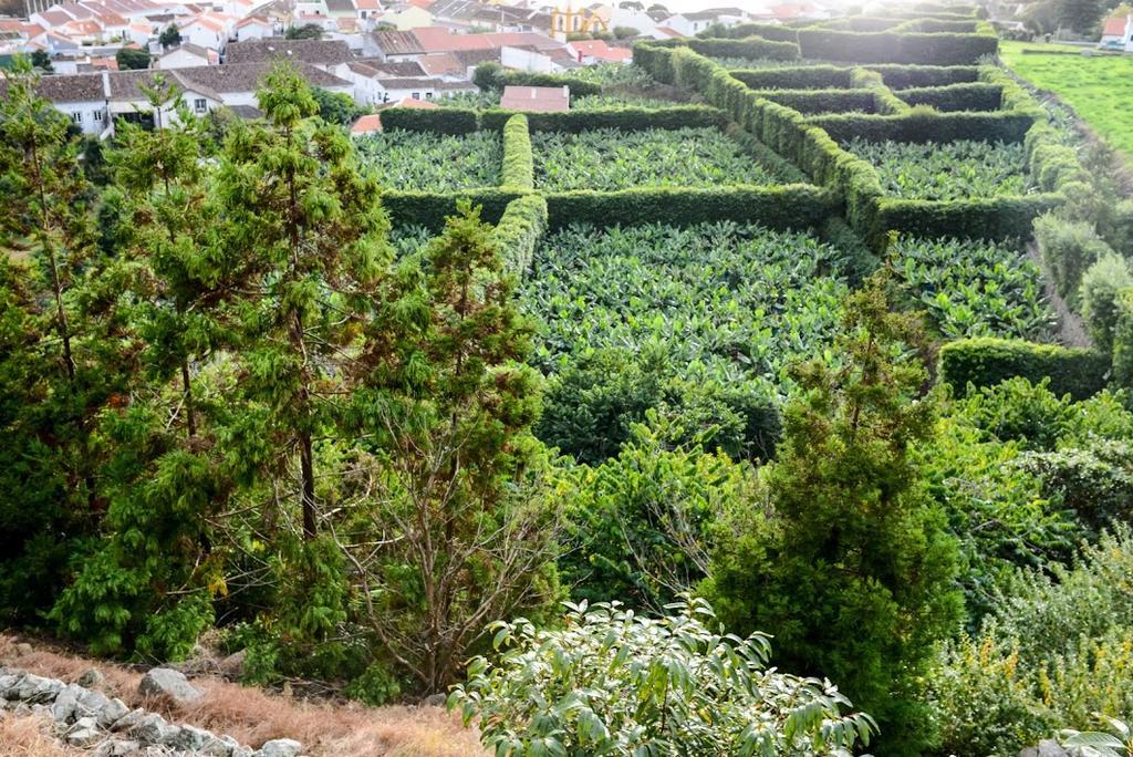 Quinta Amaro Al Hotel Angra do Heroísmo Eksteriør billede